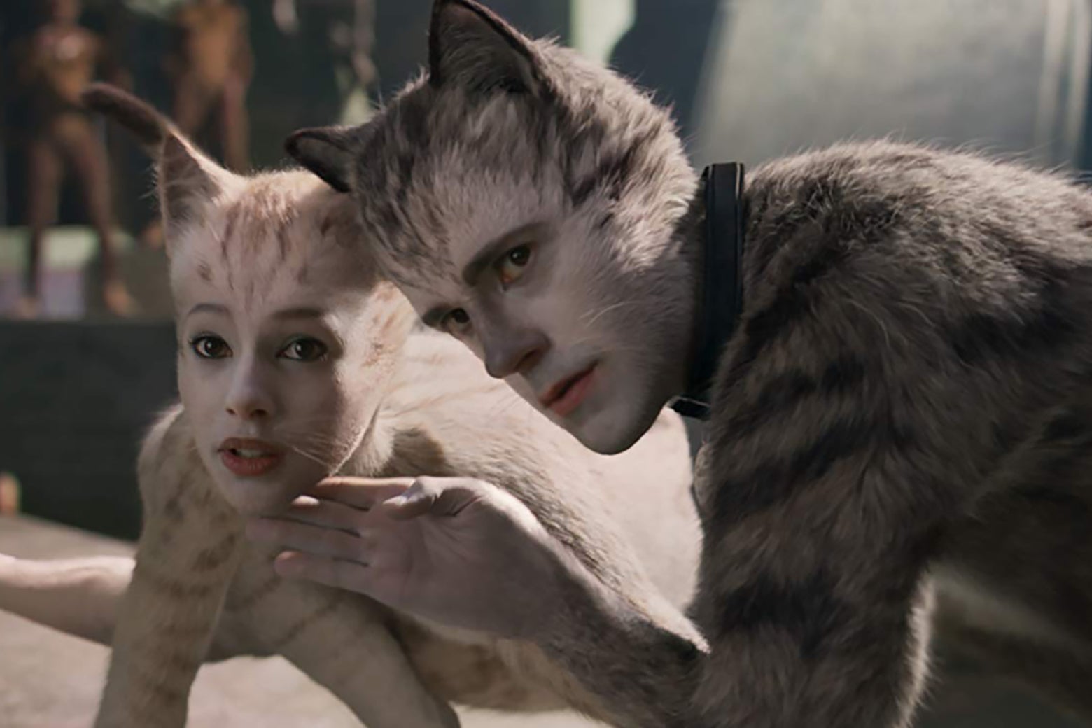 cgi cats