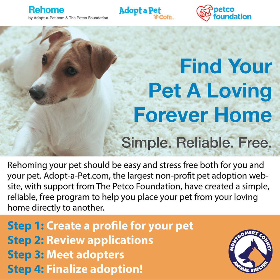 adopt-a-pet.com rehome