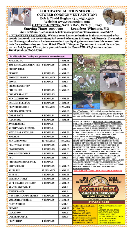 dog auctions near me