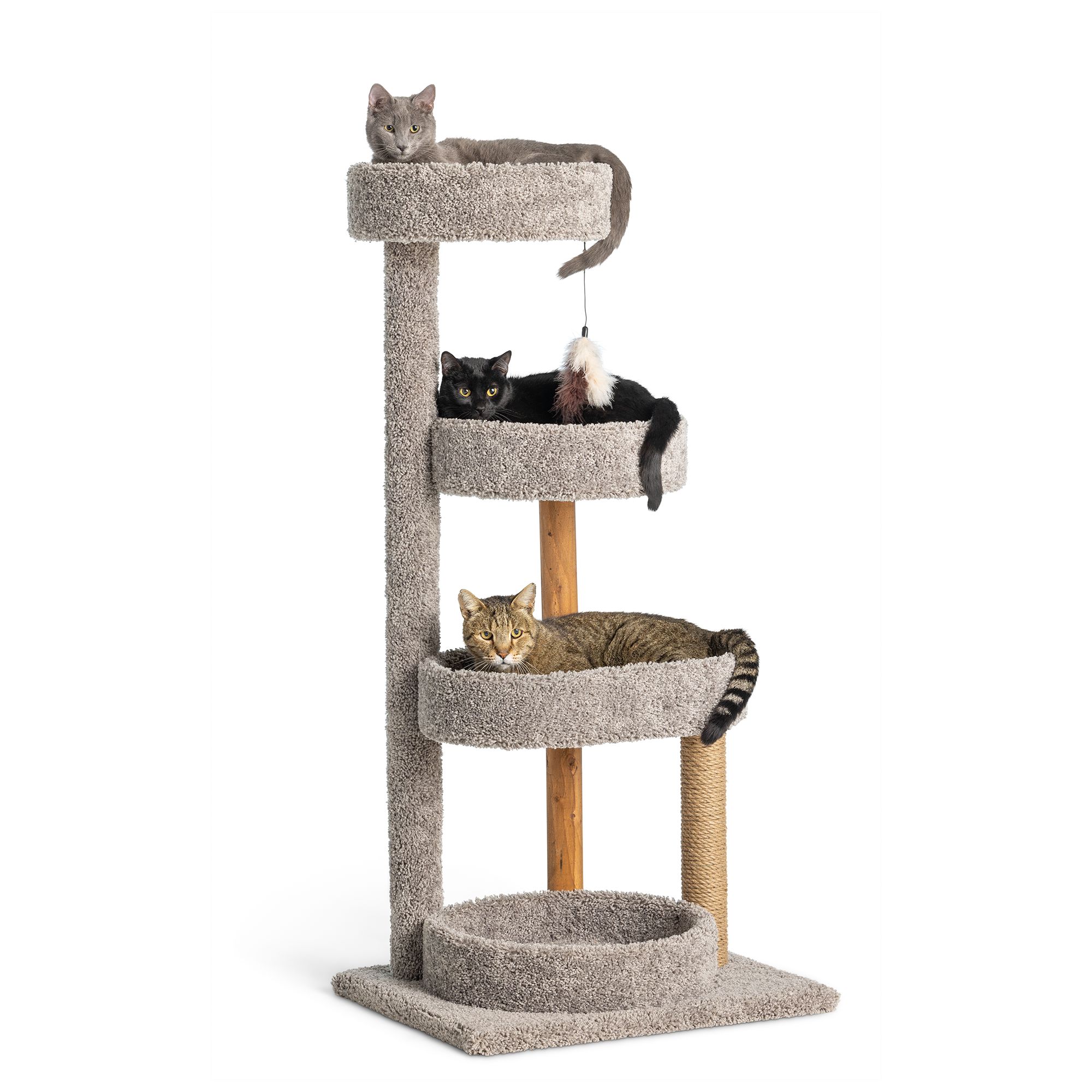 pet smart cat tree