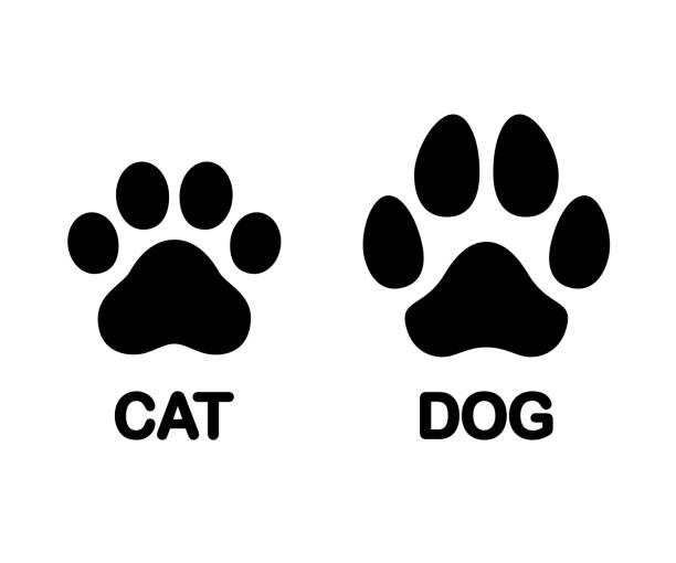 cat print paw