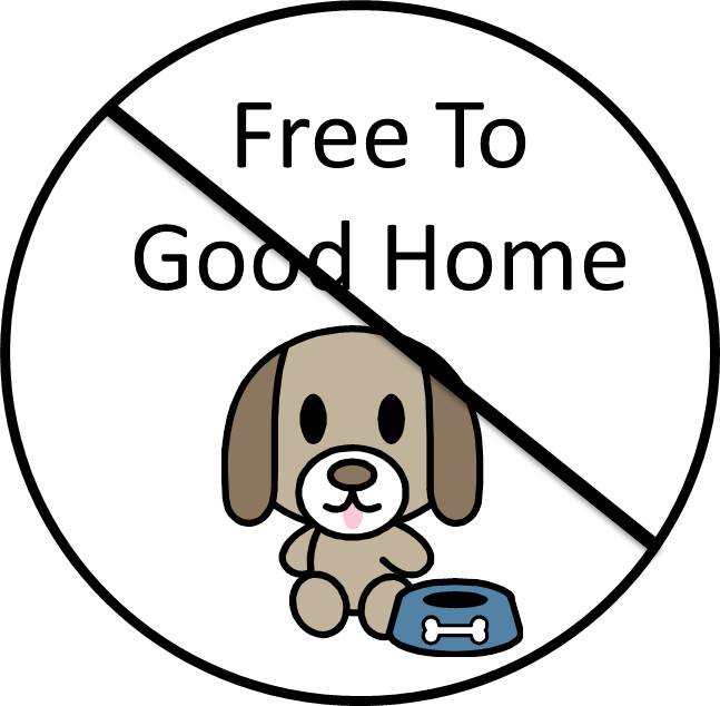 dog for free to good home