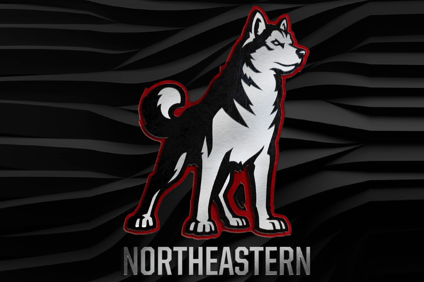 husky northeastern