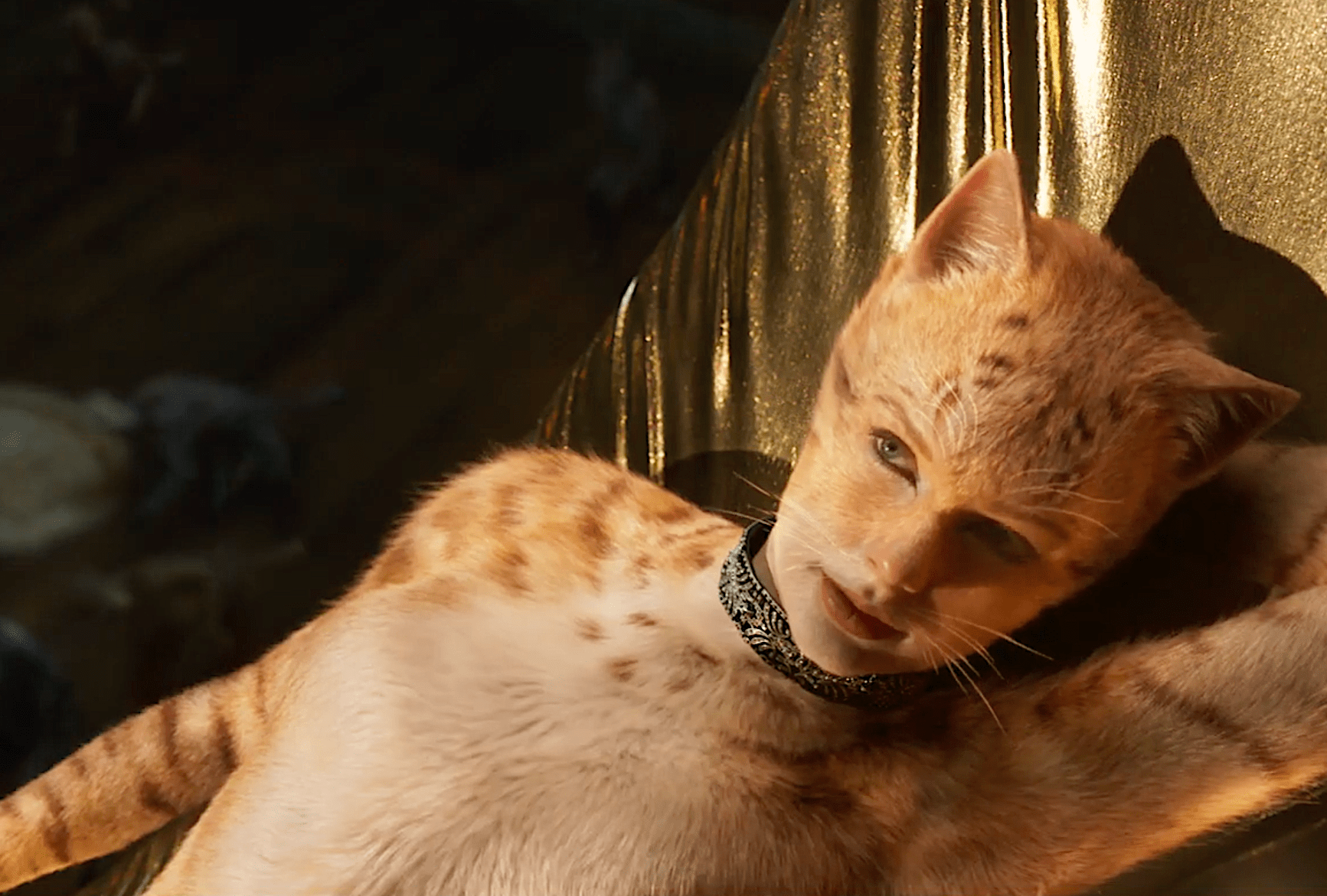 cgi cats