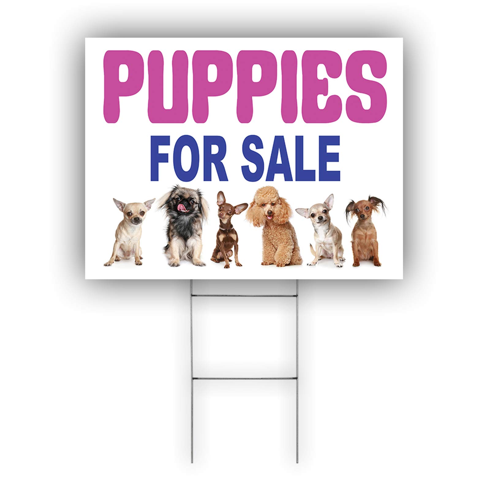 puppies for sale sign