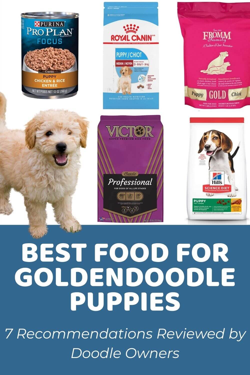 best food for a goldendoodle puppy