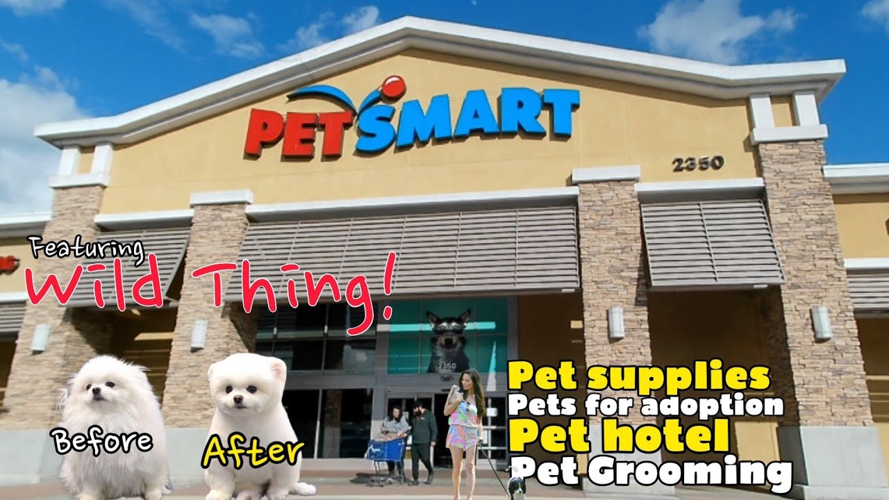 nearest petsmart to my location