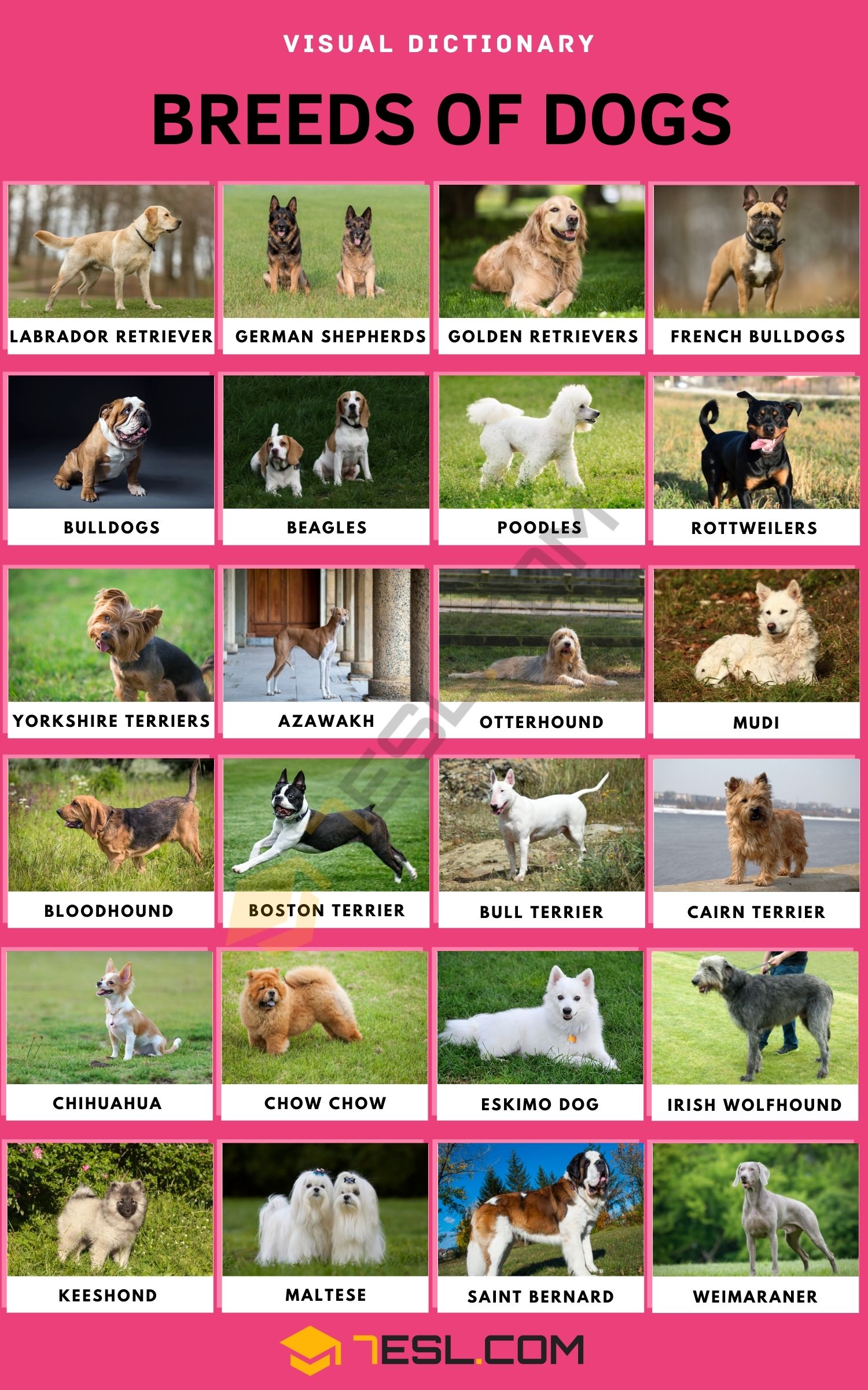 list dogs