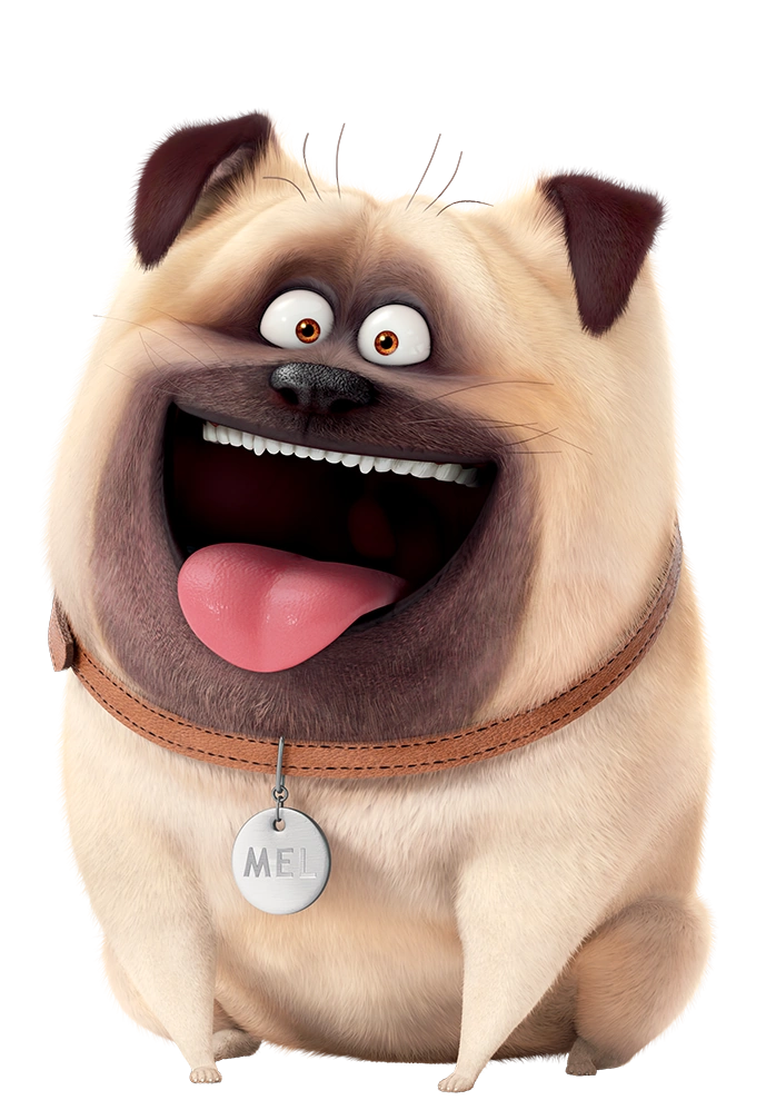 bulldog secret life of pets