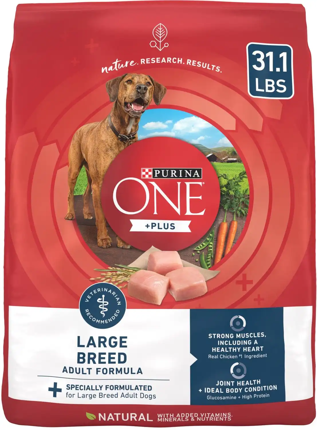 best dog food for senior great dane