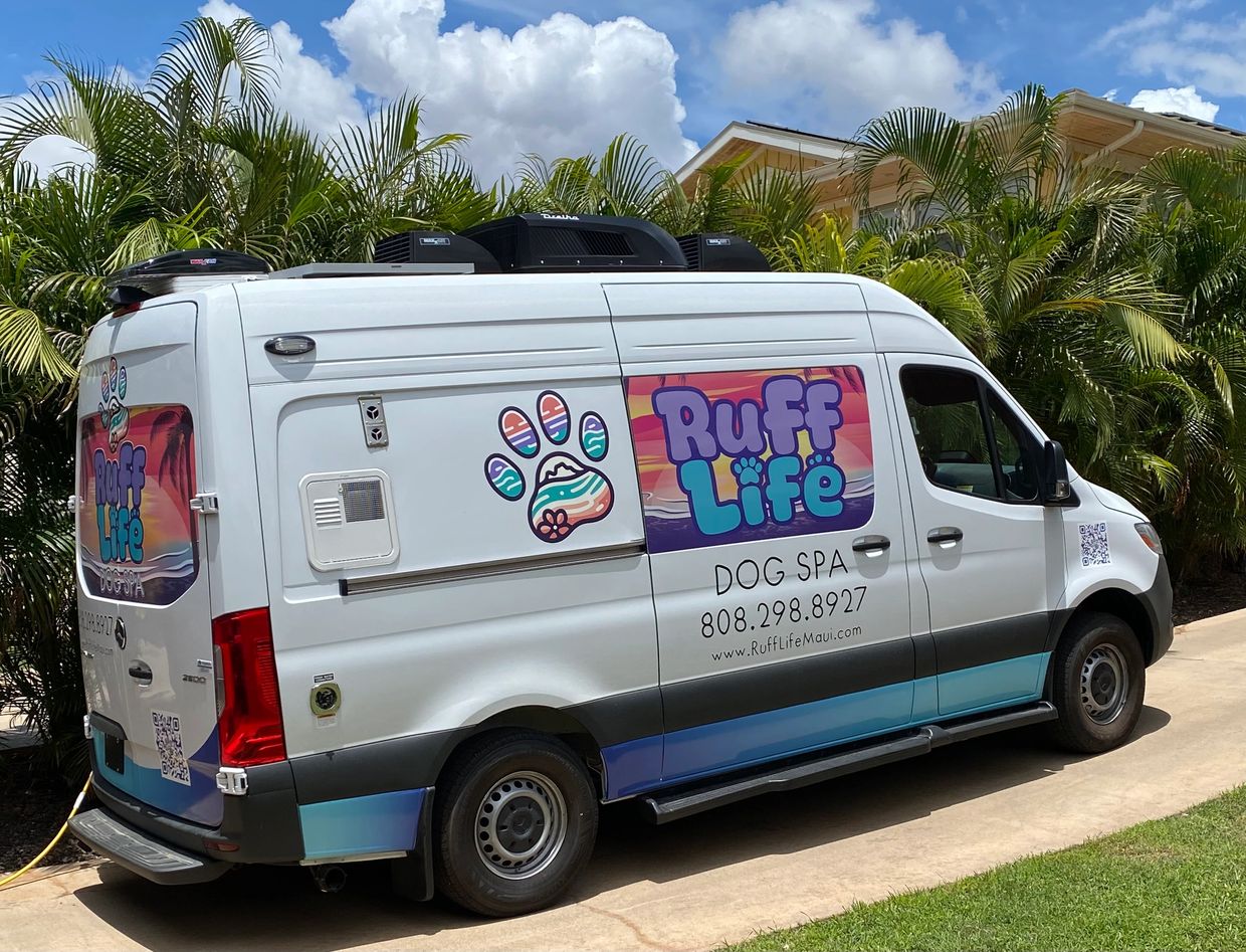 maui dog grooming