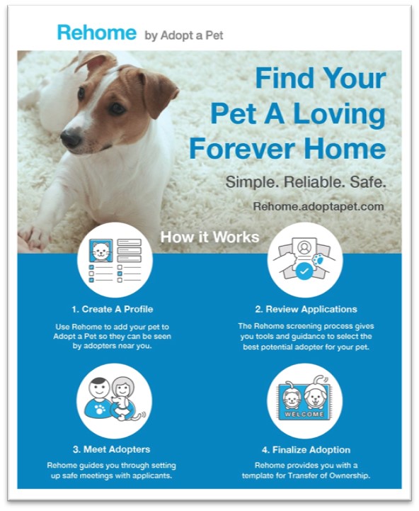 rehome by adopt-a-pet