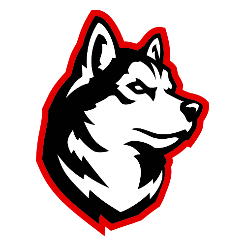 husky northeastern