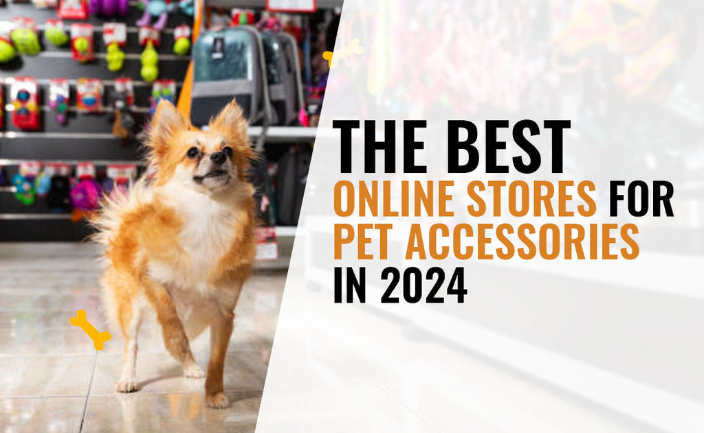 best online shopping for dogs