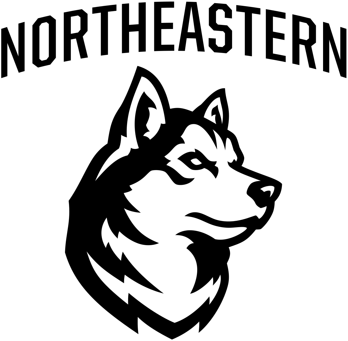 husky northeastern