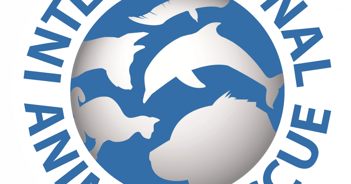 international animal rescue