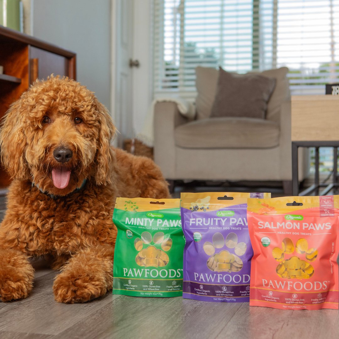 best food for a goldendoodle puppy