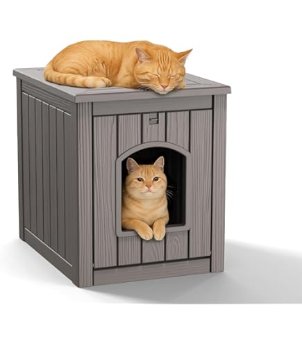 emergency cat shelter