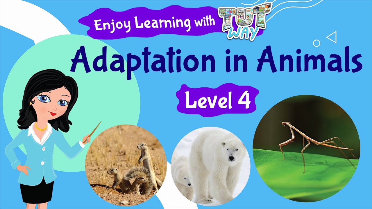 animal adaptations for kids