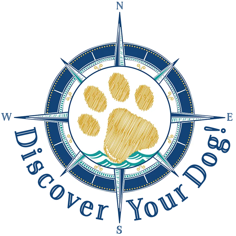 discover your dog