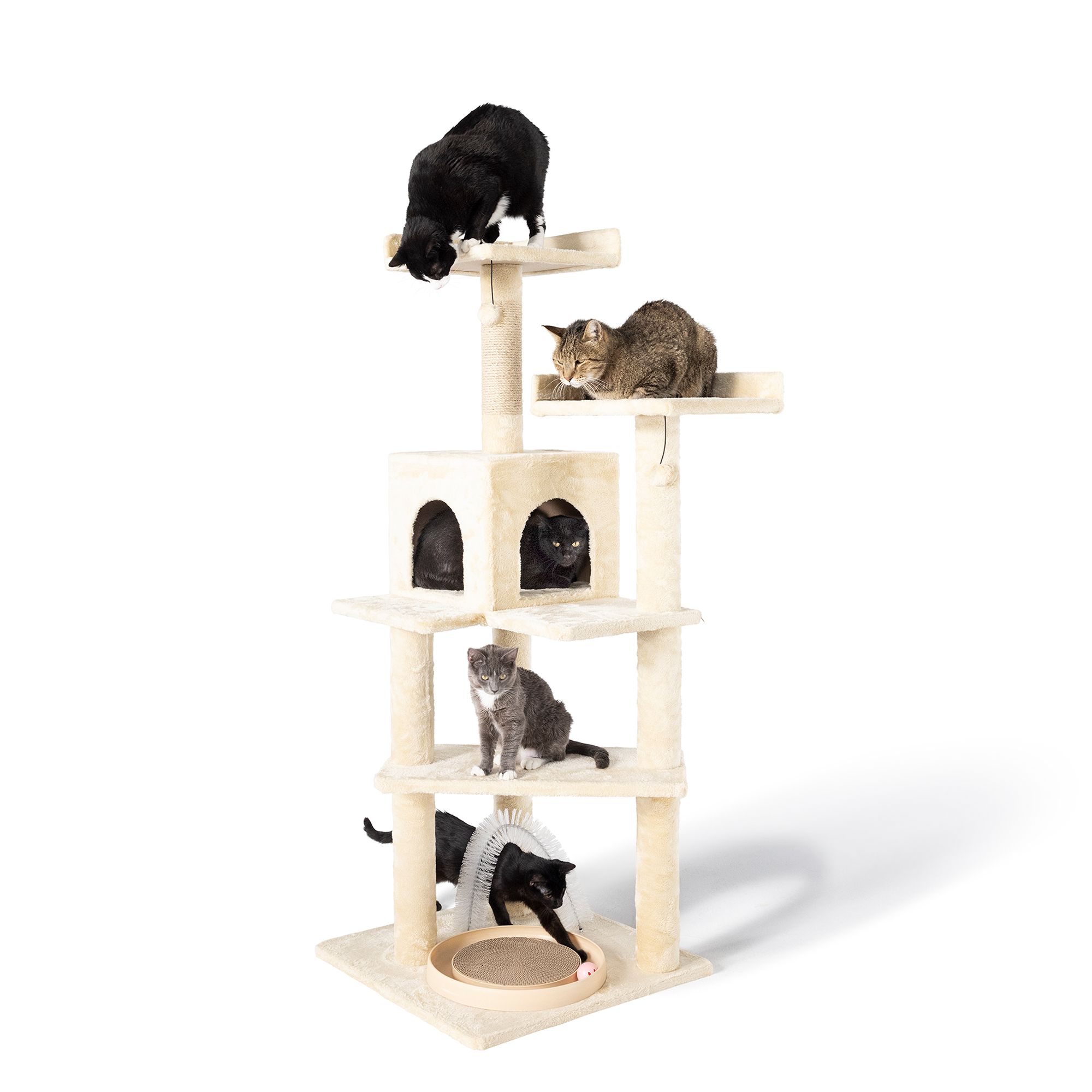 pet smart cat tree