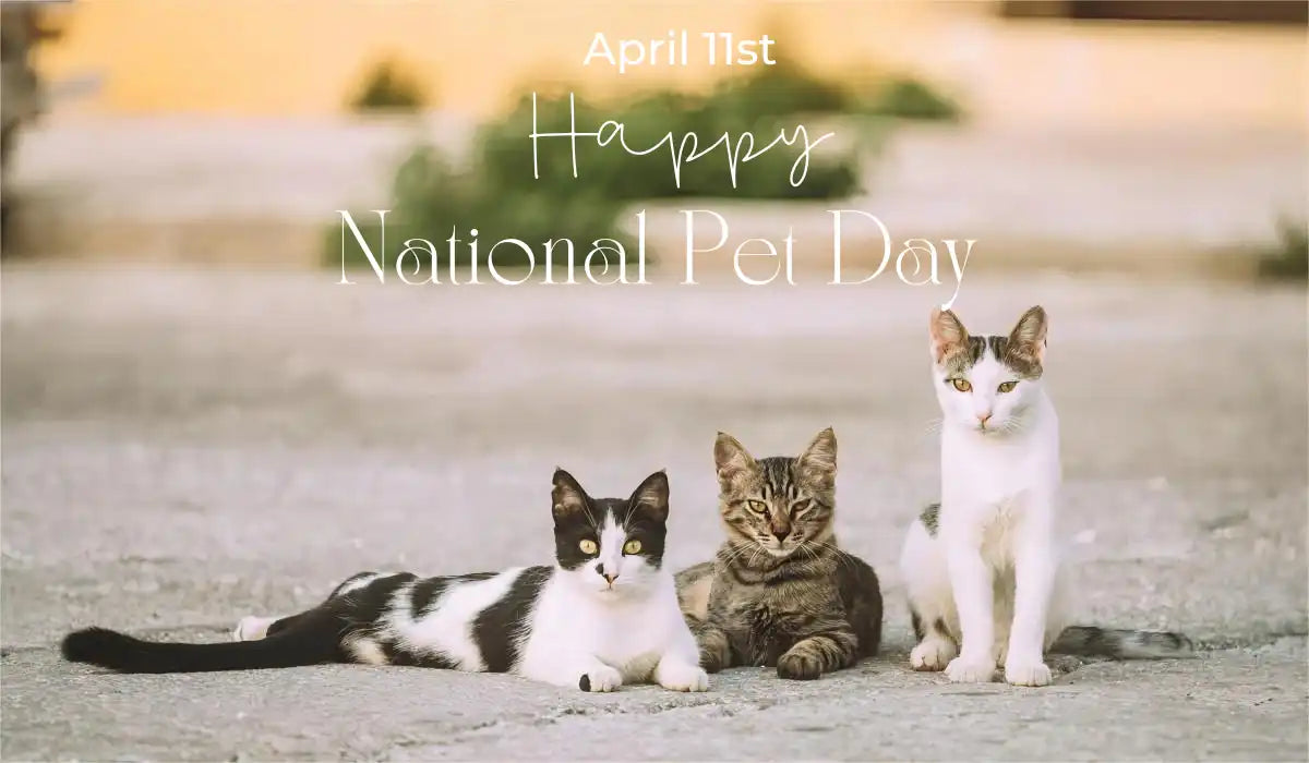 nationalpet