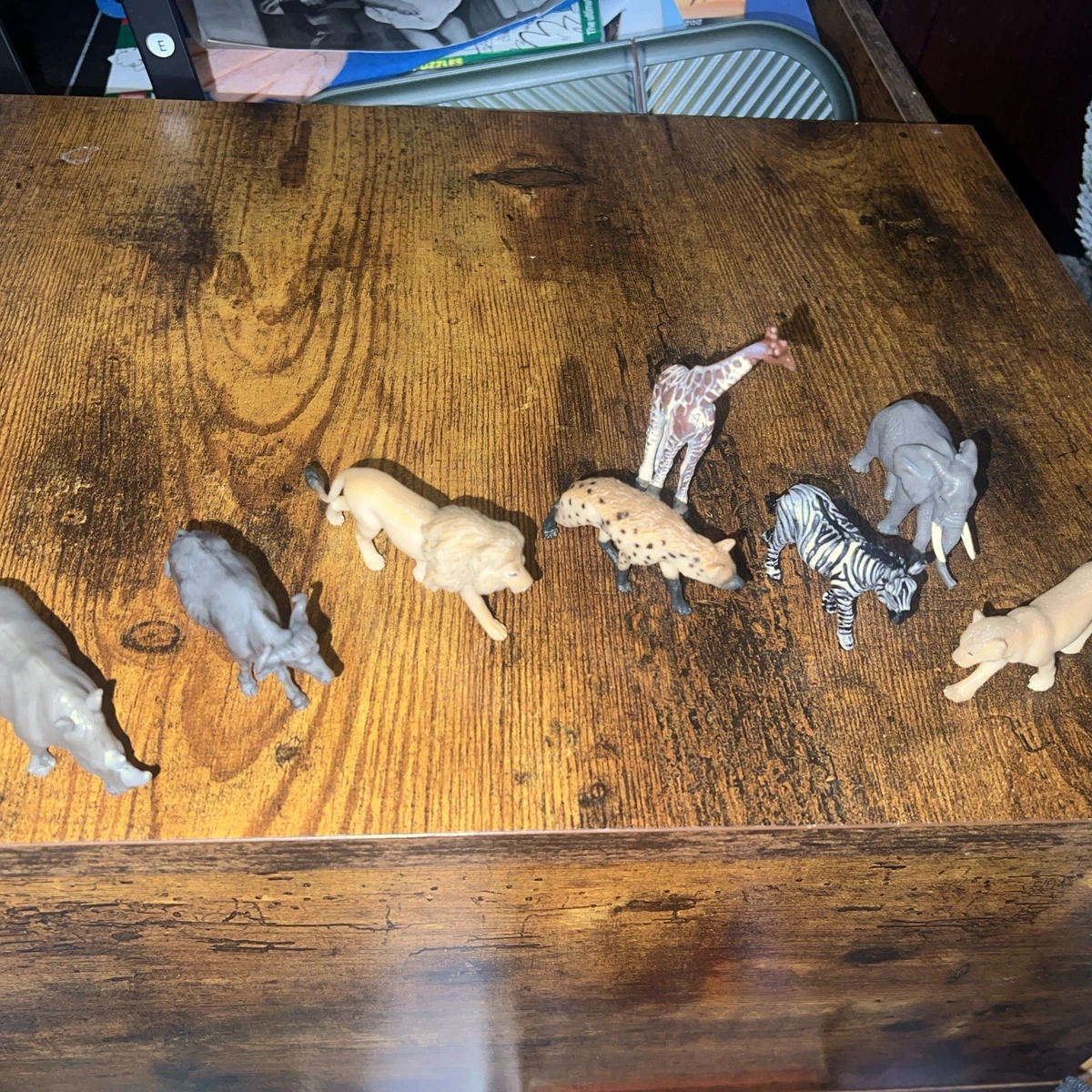 animals for sale on ebay