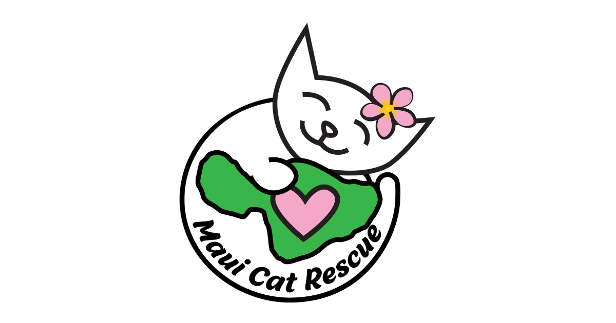 maui cat rescue