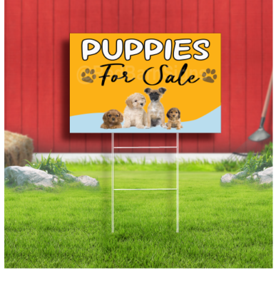 puppies for sale sign