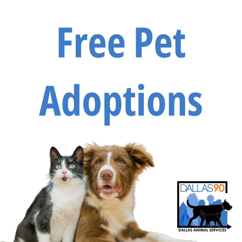 dog organizations near me