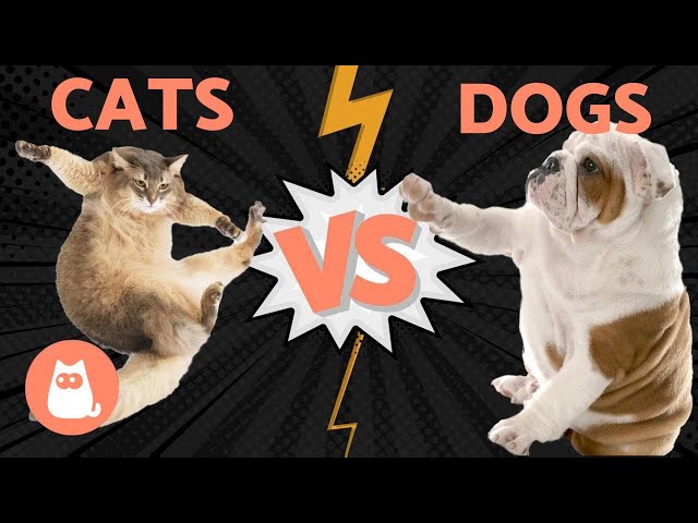dogs versus cats