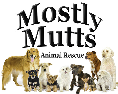 mostly mutts photos