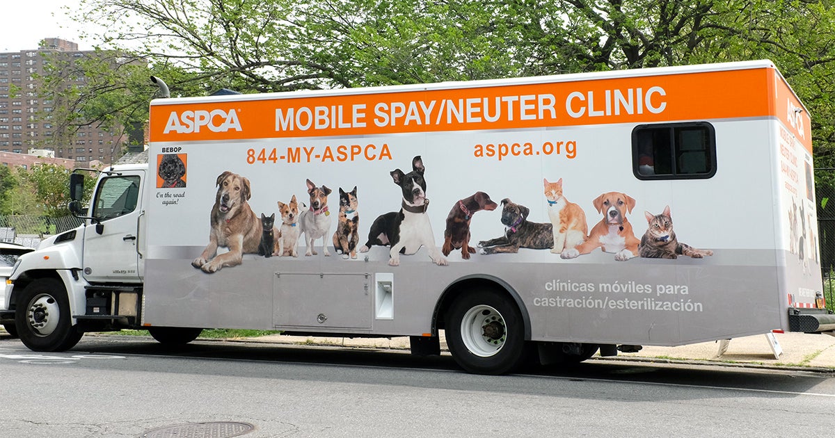 aspca español