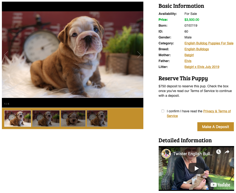 puppy websites