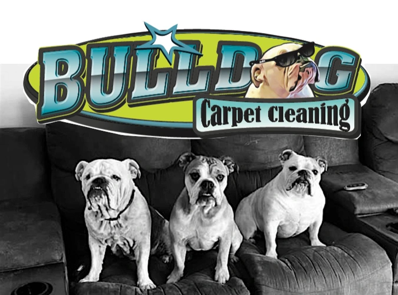 bulldog carpet cleaning