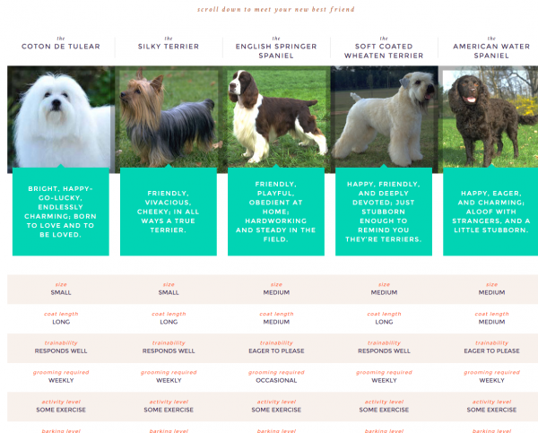 dog finder test