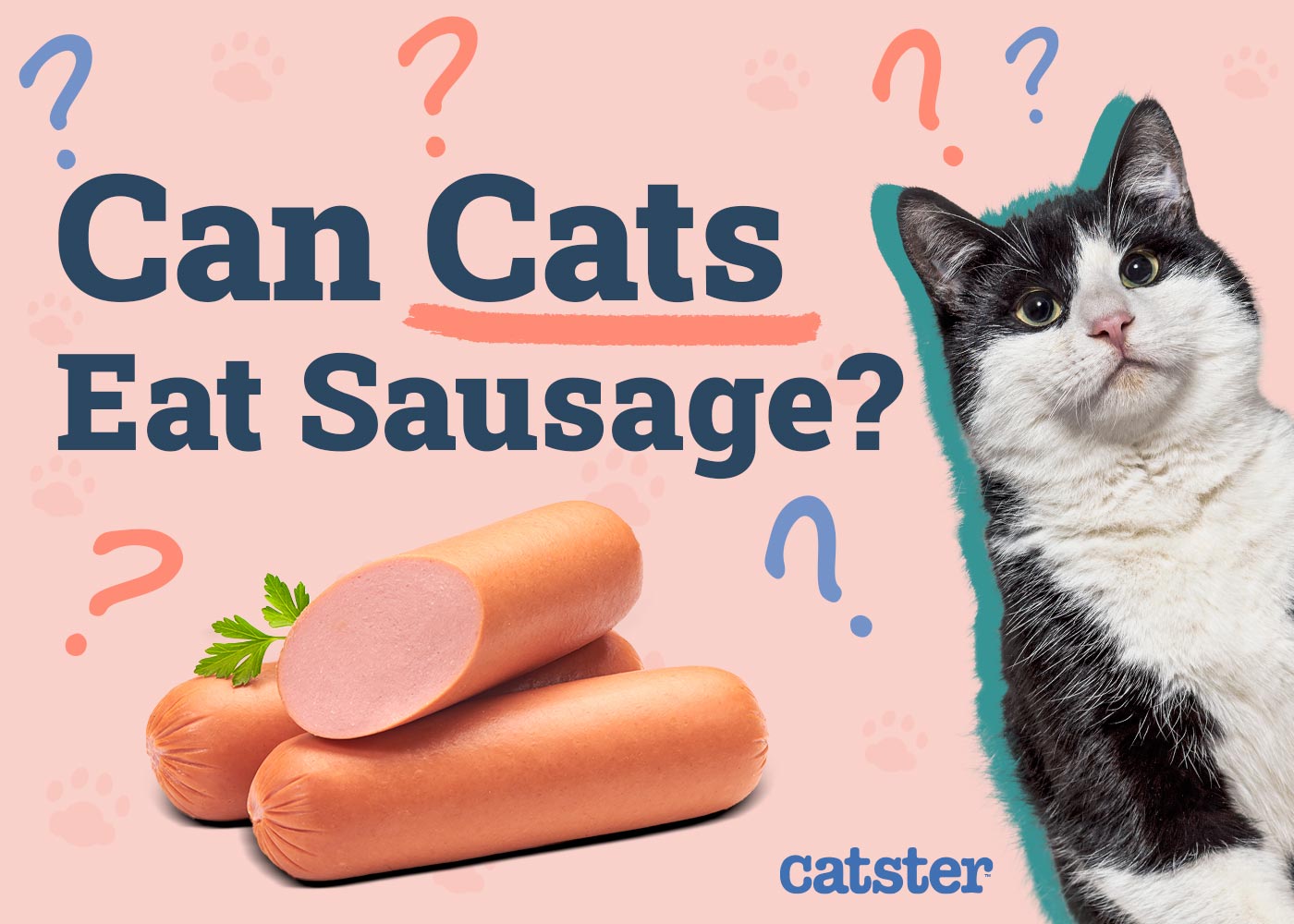can cats eat summer sausage
