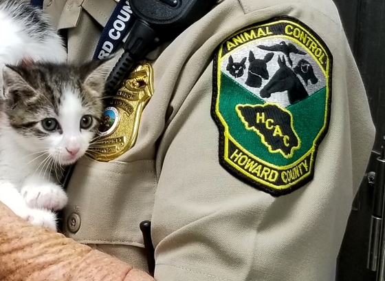 animal control near me for cats