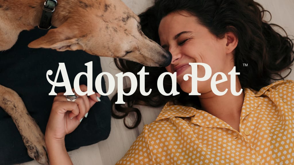 adopt a pet rescue login