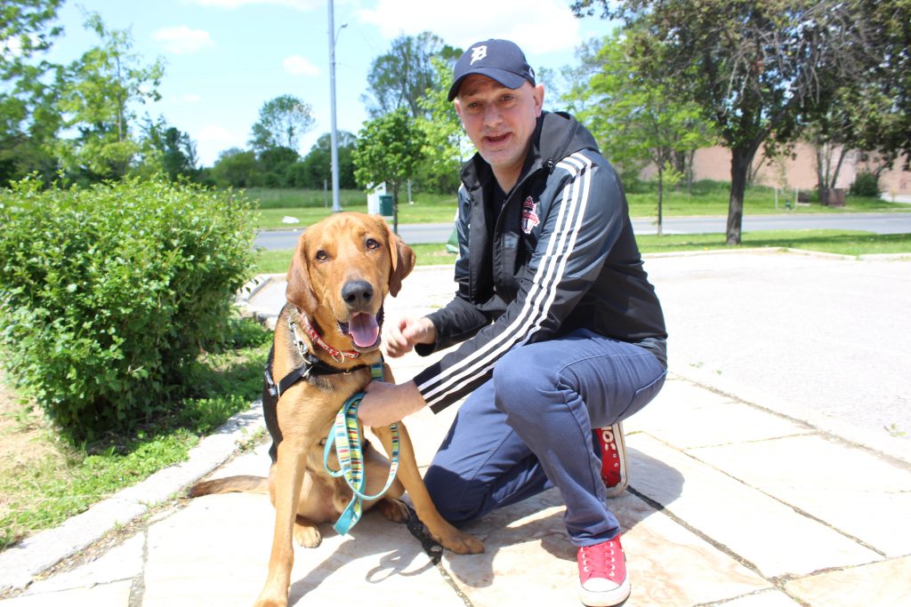 toronto dog shelter adoption
