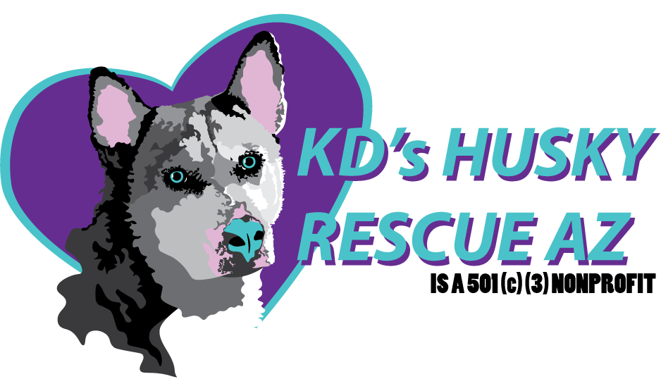 az husky rescue