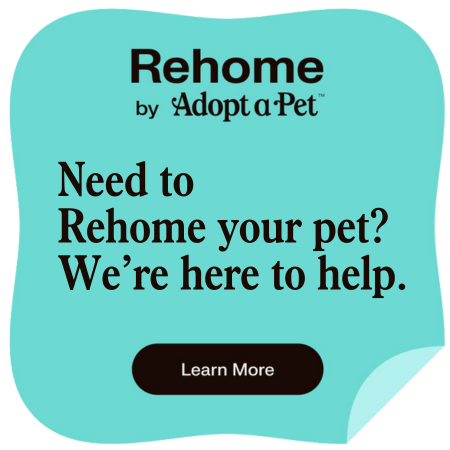 rehome by adopt-a-pet