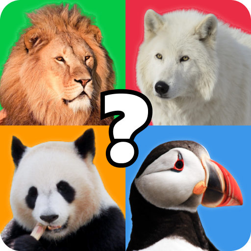 google animal quiz