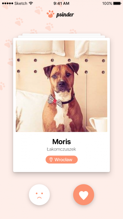 dog tinder app