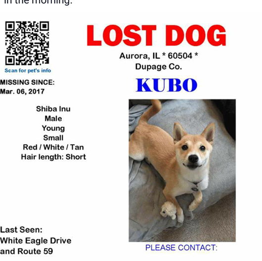 lost dogs of illinois