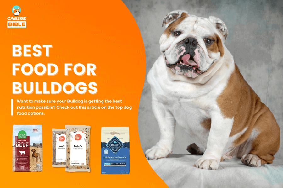 best food for english bulldogs