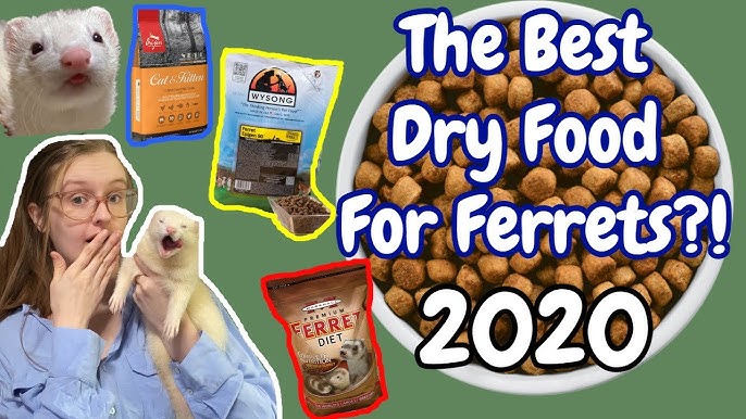 best cat food for ferrets