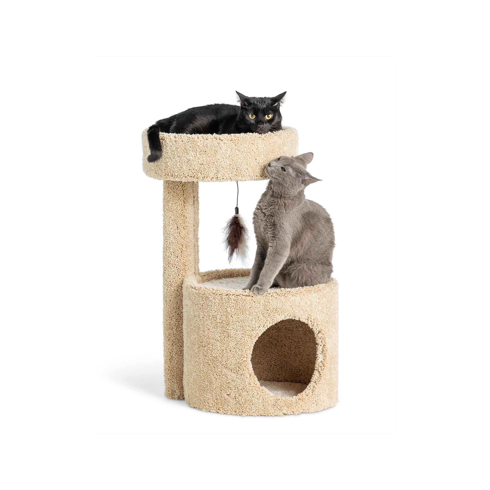 pet smart cat tree