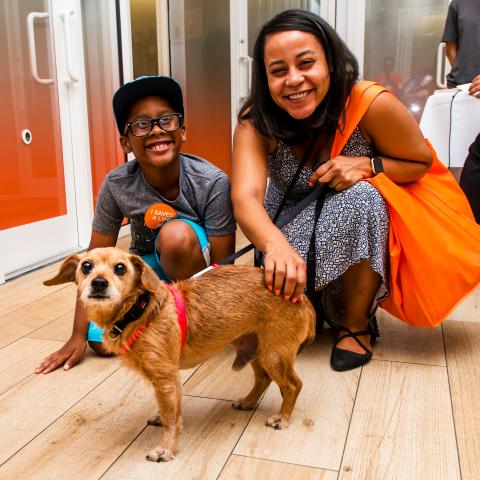 best friends for pets