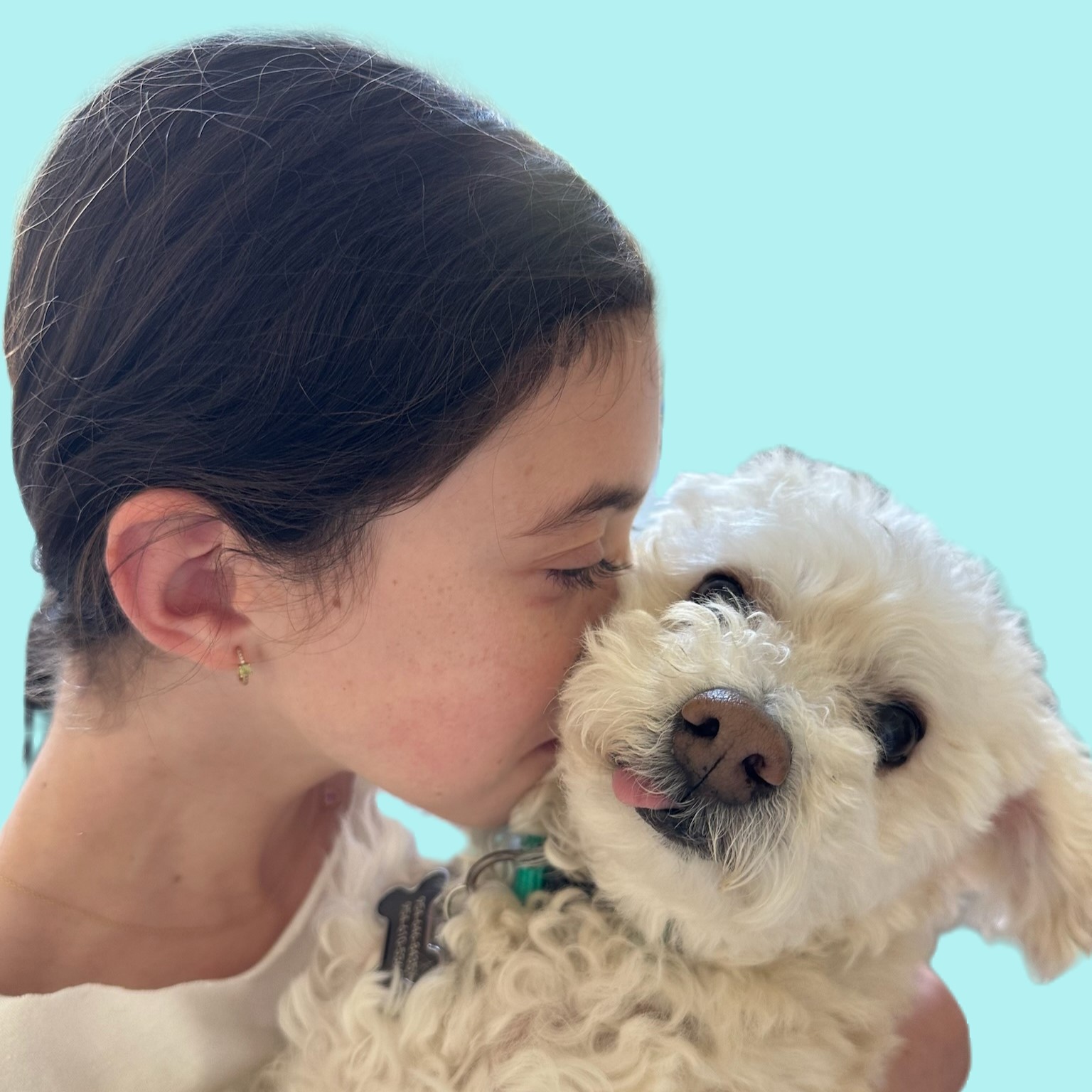 arizona doodle rescue